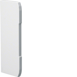 G12239010 Endstück schnittkaschierend zu Brüstungskanal BRN 70x170mm aus PVC in reinweiß