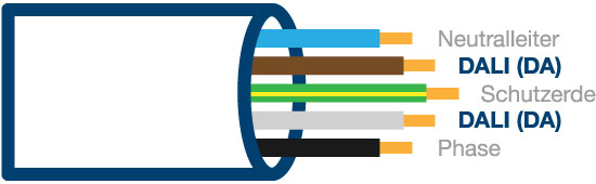 Symbolgrafik für die einfache Verdrahtung der KNX/DALI-Geräte: Neutralleiter, Schutzerde und Phase für die Versorgungsspannung und zwei Adern für den DALI Bus.